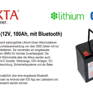 Smart 100Ah 12V Lithium LiFePO4 Batterie Akku