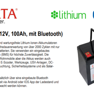 Smart 120Ah 12V Lithium LiFePO4 Batterie Akku